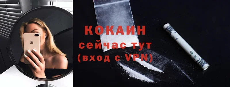 цена наркотик  Черепаново  Cocaine Эквадор 